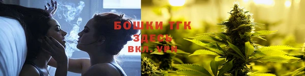 таблы Гусев