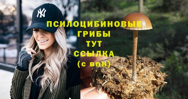 каннабис Алзамай