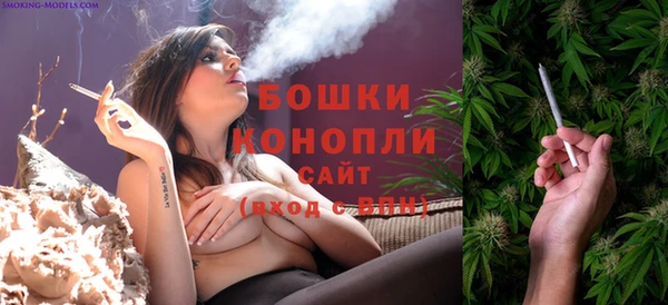 PSILOCYBIN Заволжье
