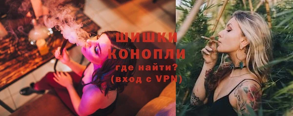 шишки Заволжск